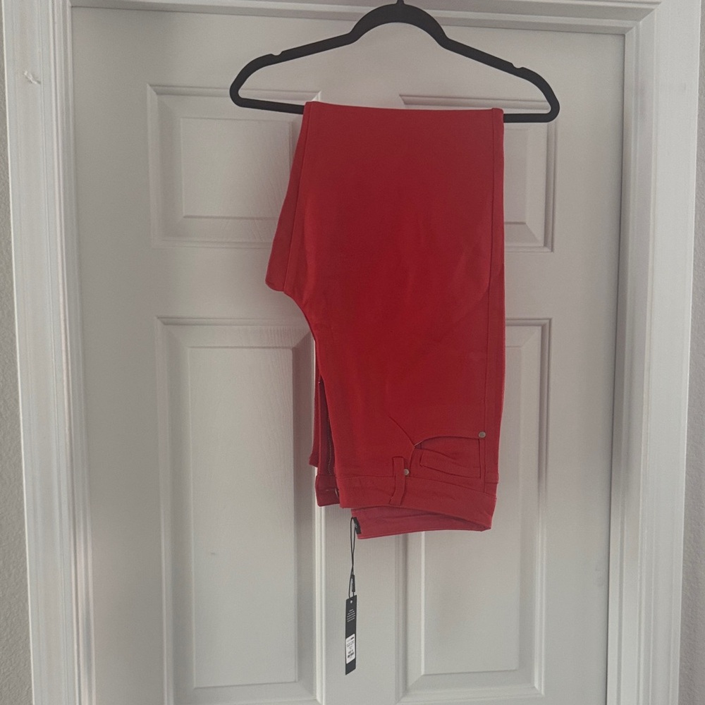 Are You In Coated Straight Leg Pant